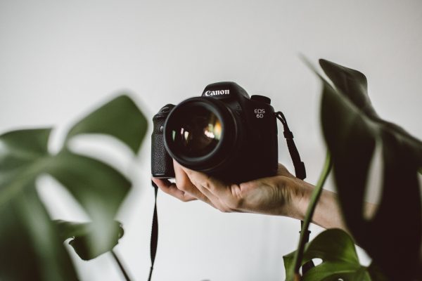 أسس التصوير الاحترافي